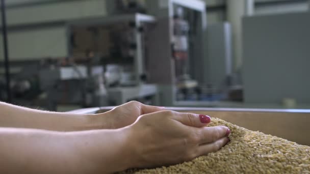 Food production. Woman manager assesses the quality of raw materials. — Stock Video