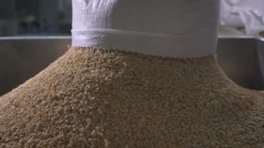 Sıralama ve hububat ve tahıl ambalaj fabrikasında. Çalışan için daha fazla alay bir özel tank buğday içine dökülen.