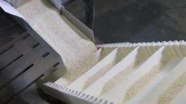 modern bir otomatik makine eşit hisse içine tahıl yulaf ezmesi sevgisi.
