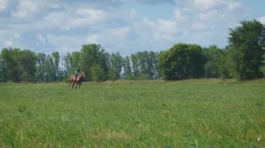 Güzel kız kırsalında bir at binme. Dörtnala. Uzak noktadan görünüm
