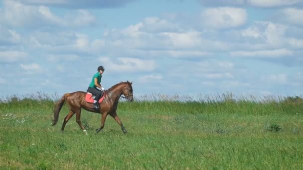 Красива дівчина катається на коні в сільській місцевості. Трот — стокове відео