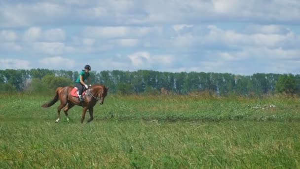 Krásná dívka na koni na venkově. — Stock video