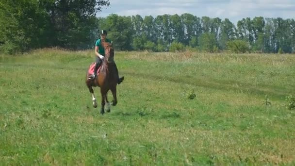 Hermosa chica montando un caballo en el campo. — Vídeos de Stock