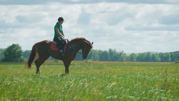 Menina bonita montando um cavalo no campo. — Vídeo de Stock
