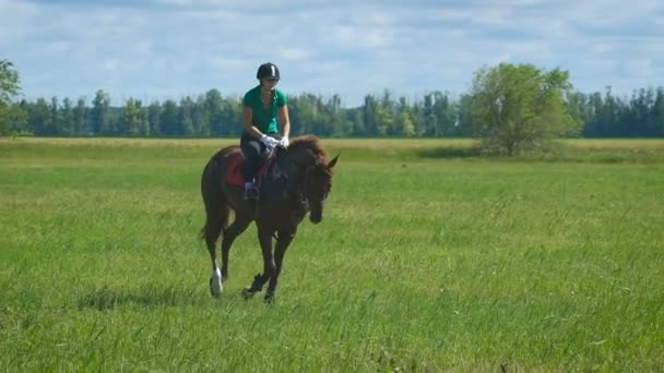 Vacker flicka rida en häst på landsbygden. — Stockvideo