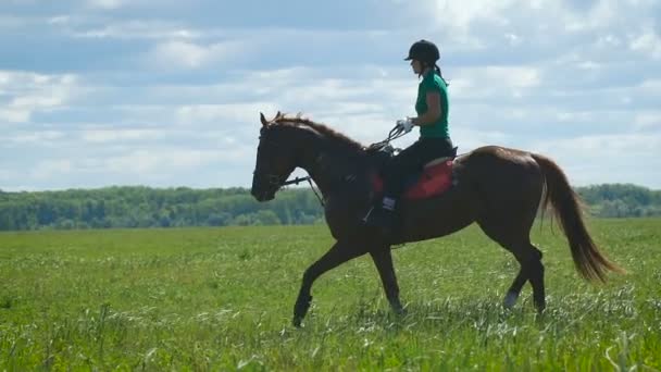 Vacker flicka rida en häst på landsbygden. — Stockvideo