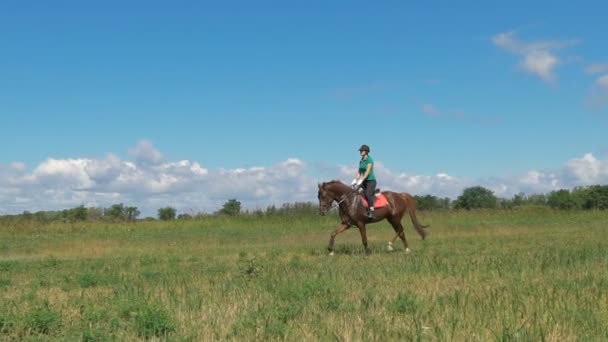 Schönes Mädchen, das ein Pferd in der Landschaft reitet. Trab durch das Feld — Stockvideo