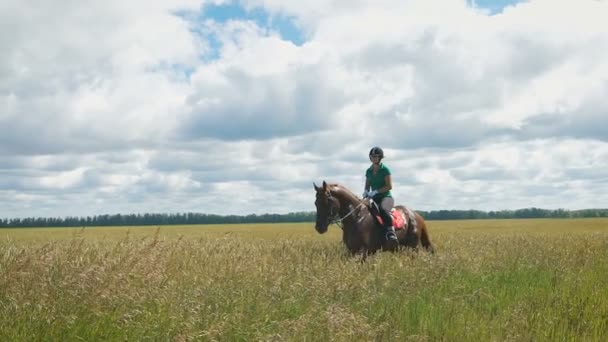 Hermosa chica montando un caballo en el campo. Viene un hermoso caballo — Vídeo de stock