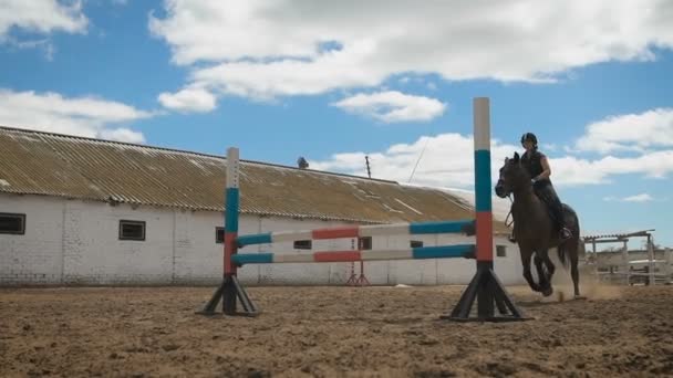 Jonge vrouw springt paard over obstakel tijdens haar opleiding in een arena — Stockvideo