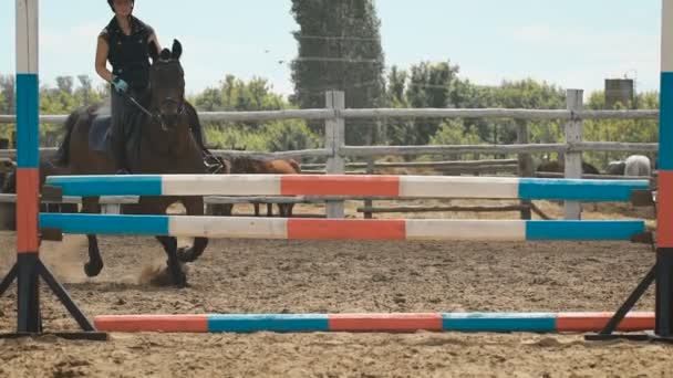 Jovem salta cavalo sobre um obstáculo durante seu treinamento em uma arena — Vídeo de Stock