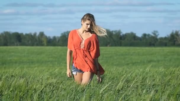 Full lenght portrait of a beautiful blonde young romantic woman in a red shirt walking slowly with a sexy look at the green field — Stock Video