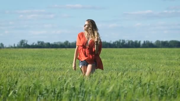 Retrato de larga duración de una hermosa rubia joven feliz con una camisa roja caminando lentamente en el campo verde — Vídeos de Stock