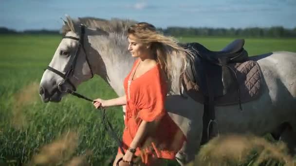 Krásná šarmantní Blondýnka, která chodí s koněm na poli — Stock video