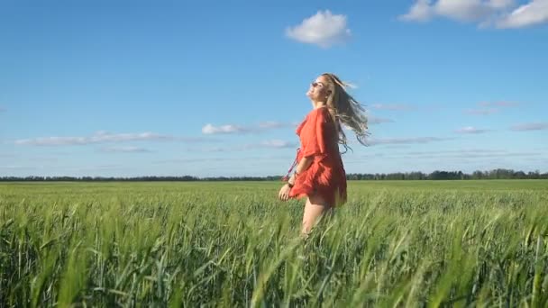 Mooie jonge blonde sexy vrouw die genieten van zelf spelen met haar haren op een groen veld — Stockvideo