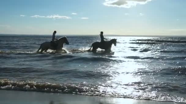 Vackra unga kvinnor ridning på en strand — Stockvideo