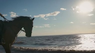 Güzel ve genç birbayan binme bir kumsalda