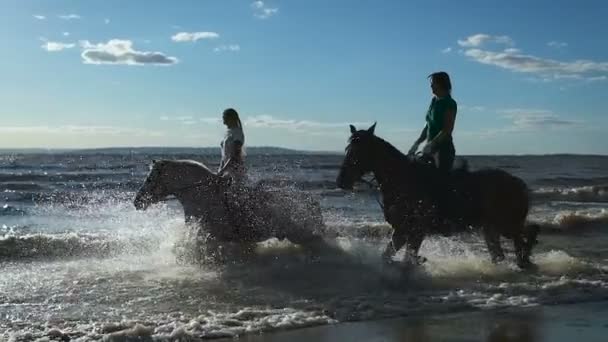 Vackra unga kvinnor ridning på en strand — Stockvideo