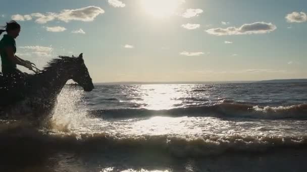 Hermosas mujeres jóvenes a caballo en una playa — Vídeos de Stock