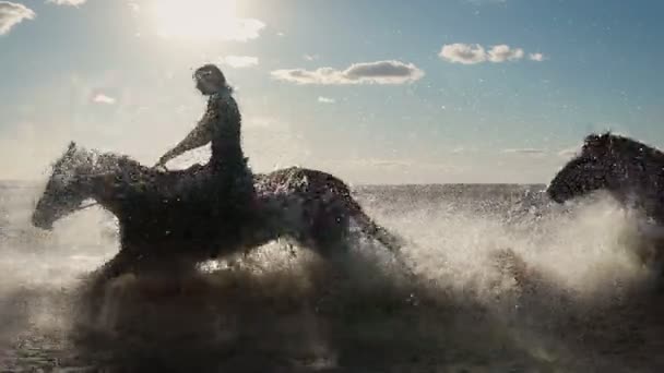 Schöne junge Frauen beim Reiten am Strand — Stockvideo