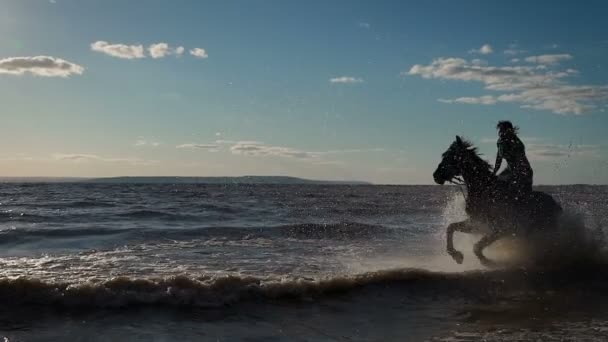 Belle giovani donne a cavallo in spiaggia — Video Stock