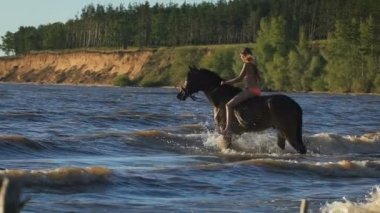 Kahverengi bir binicilik denizde bikinili genç güzel sarışın kadın