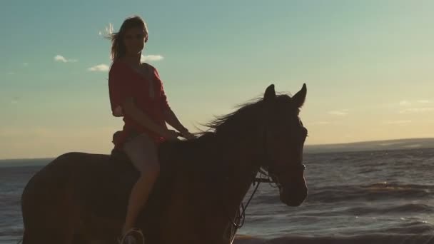 En sexig vacker ung kvinna rider en häst på en strand — Stockvideo