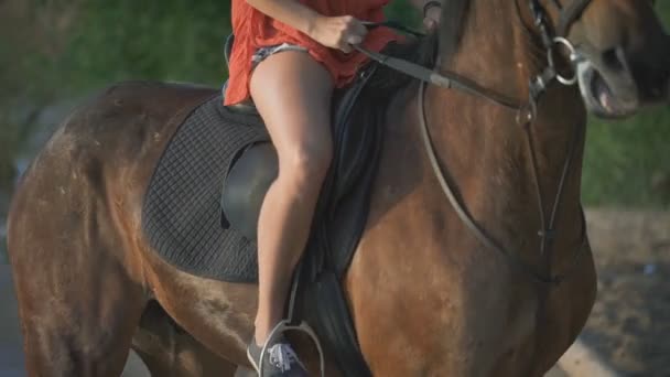 Une belle jeune femme sexy chevauchant un cheval sur une plage — Video