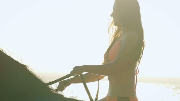 Nahaufnahme einer jungen schönen sexy blonden Frau im Bikini im Meer, die auf einem braunen Pferd reitet. — Stockvideo