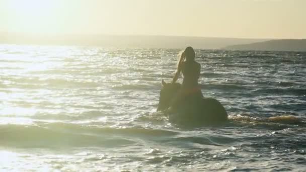 Une jeune belle femme blonde sexy en bikini en mer chevauchant un cheval brun. Vue de l'arrière — Video