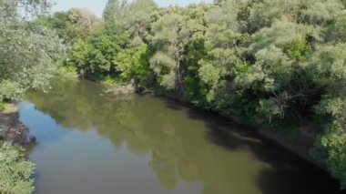 Amazon Nehri 'nin dar boğazları. Nehir her iki kıyıdan gelen yoğun büyümeyle kaplandı..