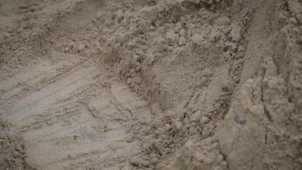 En man med en lätt plastspade samlar sand för byggnadsarbete. — Stockvideo