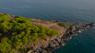 Hava görüntüsü. Yeşil ağaçların olduğu güzel bir yer..
