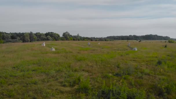 Mysterieuze plek van stenen en paden. Aultisme en riten op een geheime plek in het veld. Magische mexto kracht in de natuur. — Stockvideo