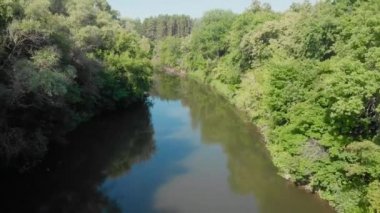 Amazon Nehri 'nin dar boğazları. Nehir her iki kıyıdan gelen yoğun büyümeyle kaplandı..