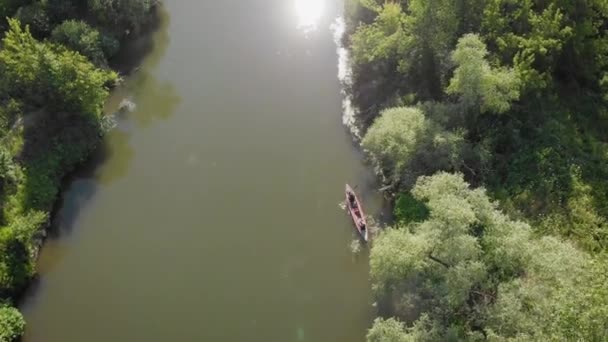 Una vista aérea. Dos en un kayak, fusionándose en el Amazonas. El río y las orillas están cubiertas de árboles. — Vídeo de stock