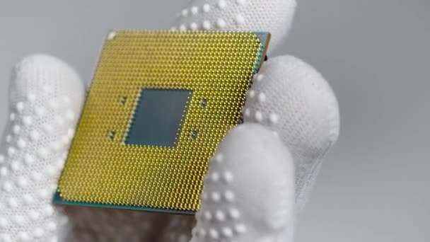 CPU. Plano de close-up, no laboratório, um especialista em luvas brancas, detém o processador central. — Vídeo de Stock