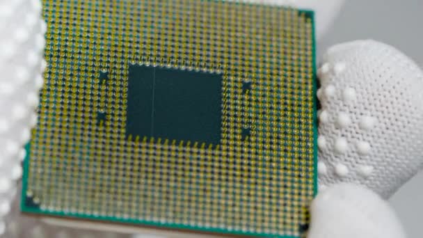 CPU。近くの計画では、研究室では、白い手袋の専門家は、中央プロセッサを保持しています. — ストック動画