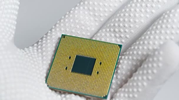 CPU。研究室の技術者は強力なプロセッサを手に持っている。人工知能の分野で活動しています. — ストック動画