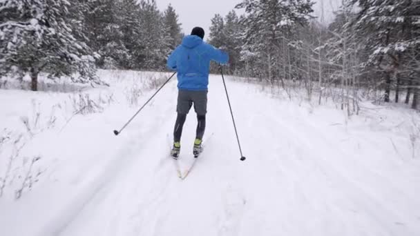 Treino de inverno de esqui cross-country. O atleta desenvolve boa velocidade. — Vídeo de Stock
