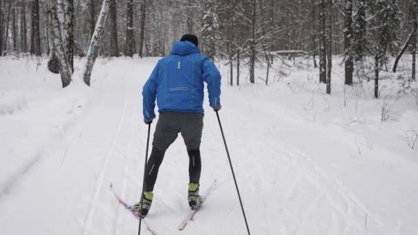 Allenamento invernale di sci di fondo. L'atleta sviluppa una buona velocità. — Video Stock