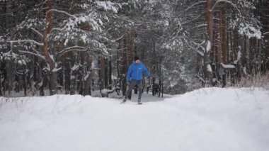 Genç bir adam kış ormanında kros kayağı yapmakla meşgul. Atlet paten koşuyor..