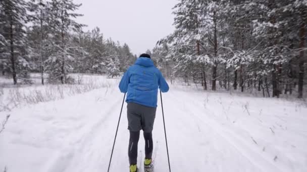 Allenamento invernale di sci di fondo. L'atleta sviluppa una buona velocità. — Video Stock