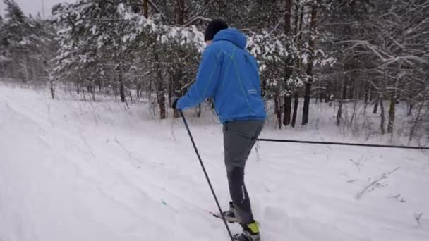 Спортивный образ жизни. Человек на беговых лыжах в зимнем лесу. Подготовка — стоковое видео