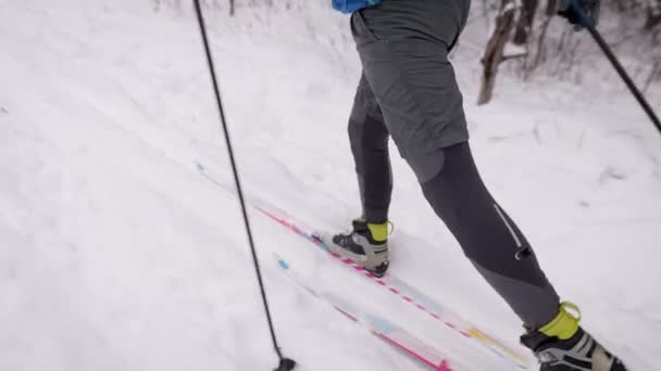 Idrottslivsstil. En man på längdskidåkning i vinterskogen. Förberedelser — Stockvideo