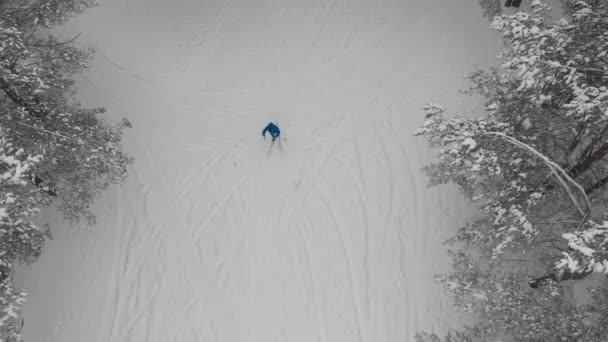 Vista dall'alto. L'uomo sportivo è impegnato nello sci di fondo nella foresta invernale. — Video Stock