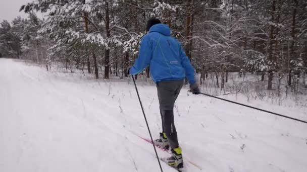 Sports lifestyle. A man on cross-country skiing in the winter forest. Preparing — Stock Video