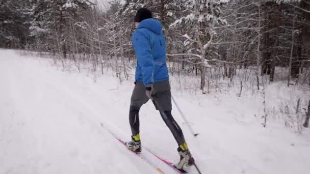 Sports lifestyle. A man on cross-country skiing in the winter forest. Preparing — Stock Video