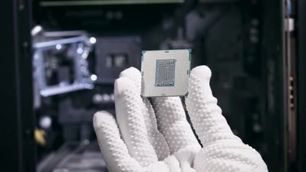 De hand houdt de centrale verwerkingseenheid vast. De processor is klaar om te worden geïnstalleerd in de PC-systeemeenheid. — Stockvideo