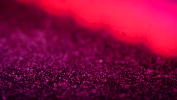 Polvere fine sul filtro dell'aspirapolvere dopo la pulizia in casa, vista da vicino con luci rosse — Video Stock
