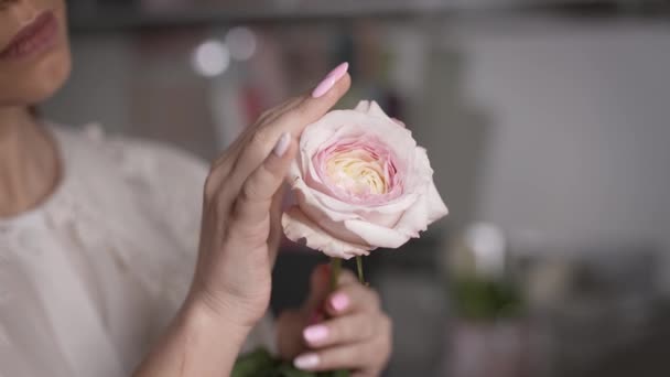 De la tendresse à chaque contact. La femme admire la beauté de la rose. — Video